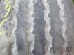 Opona używana 245/70R19,5 WindPower WTL32