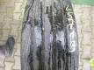 Opona używana 245/70R19,5 DYNAMO MAR26